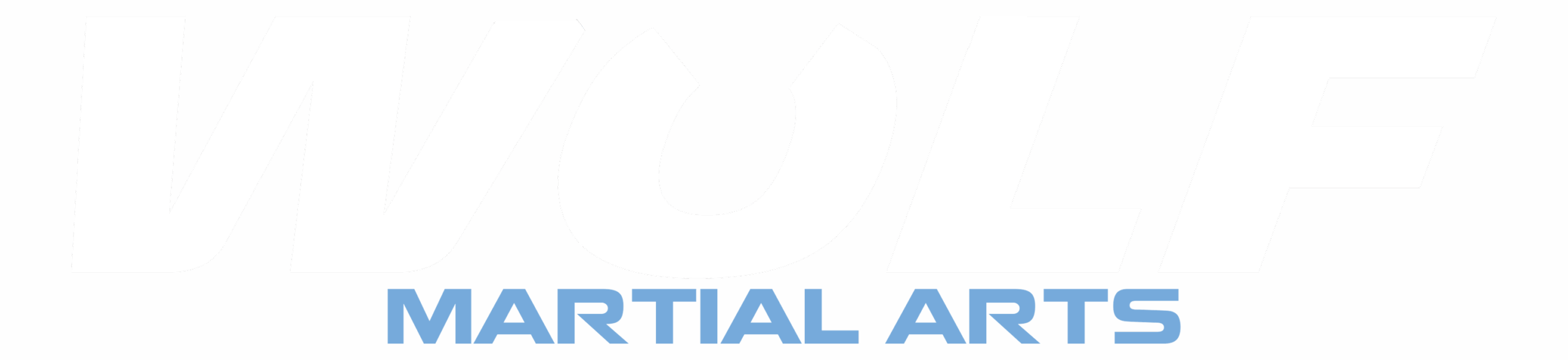 wolf martial arts zaragoza artes marciales
